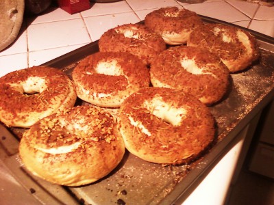homemade water bagels with Parmesan cheese